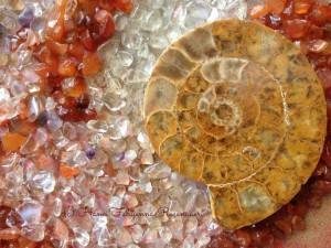 10347165_649659575113013_7139744808856931998_n