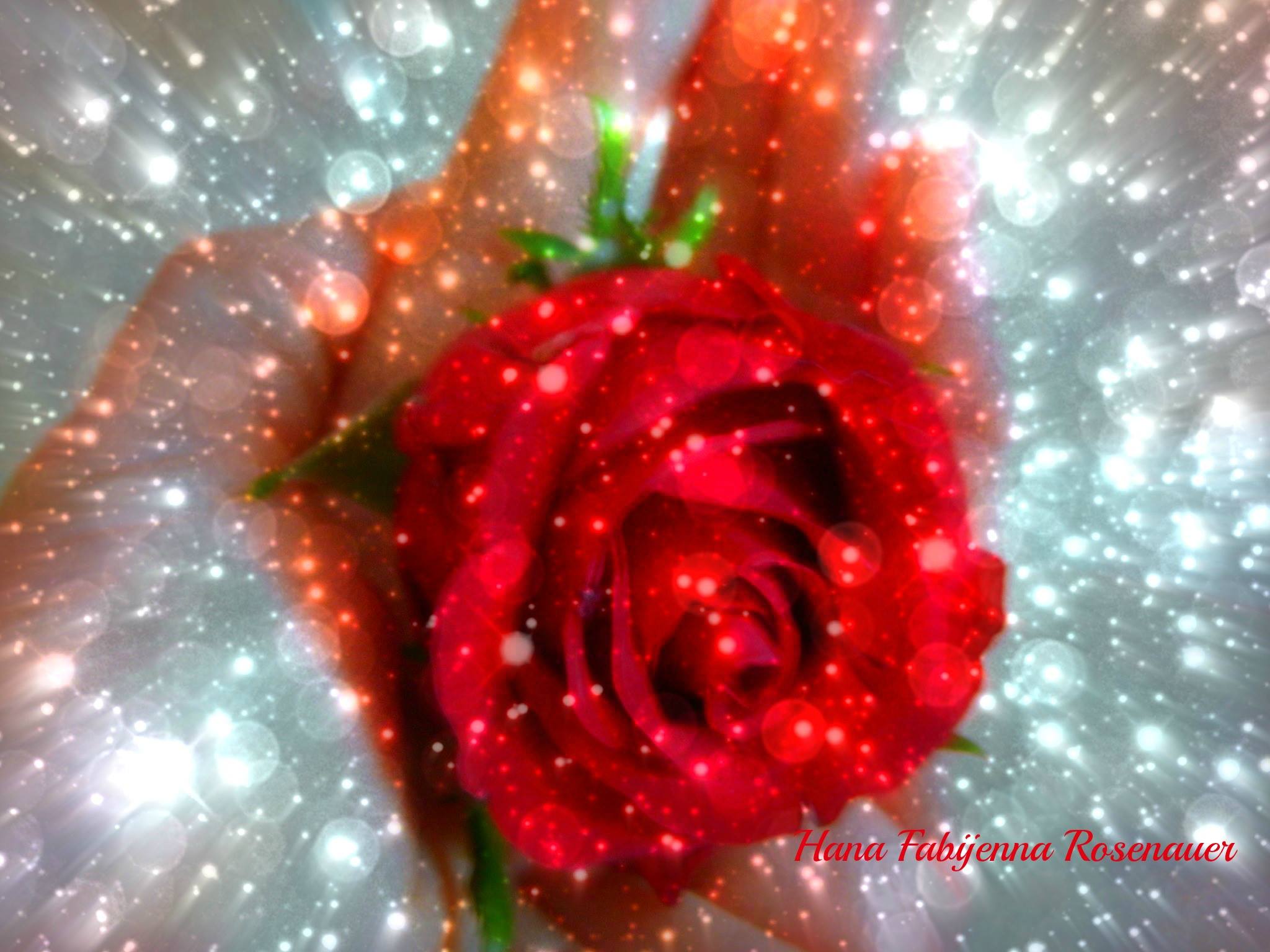 Unser Leben ist….