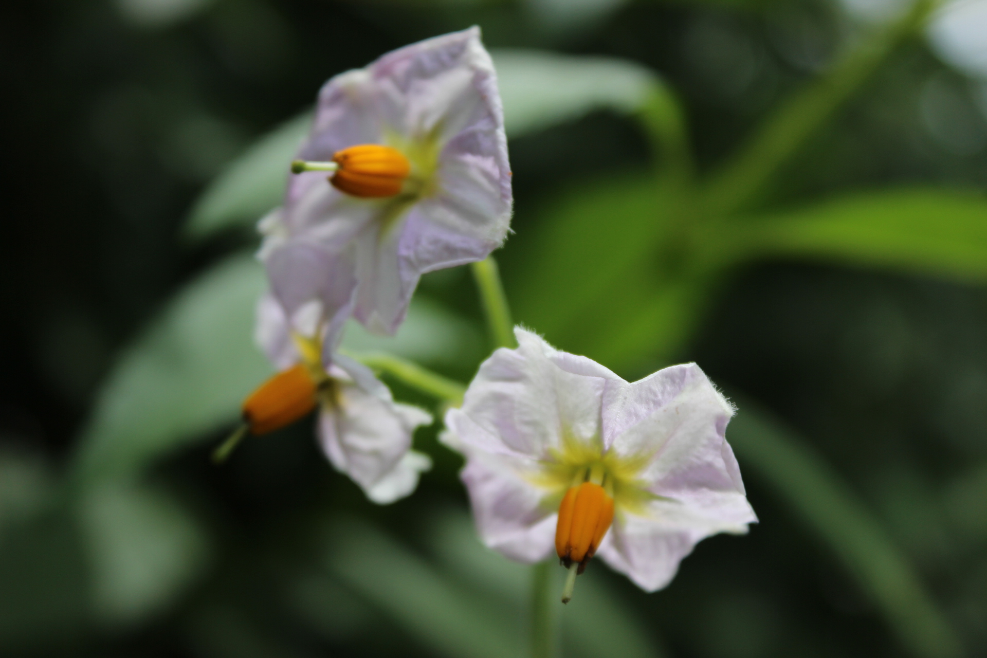 Jedes Ereignis….