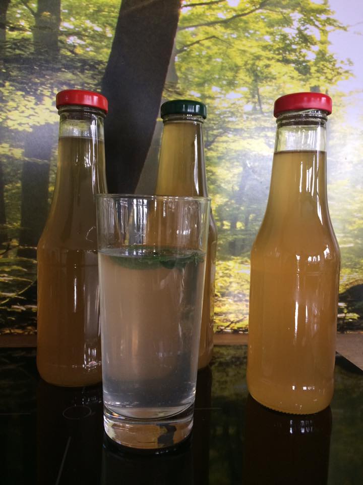 Melisse- Limette Sirup